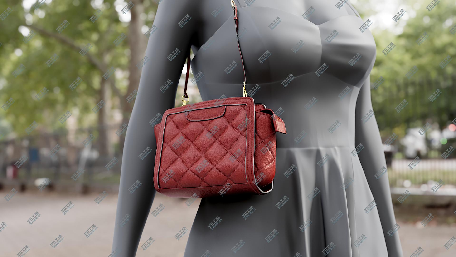 images/goods_img/202105073/Ladies Handbag 3D model/1.jpg